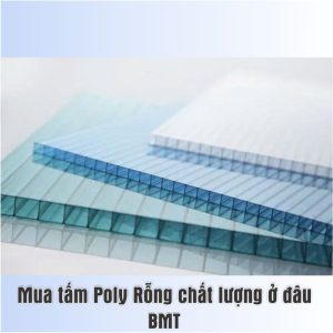 Mua Tấm Poly rỗng giá rẻ ở đâu BMT