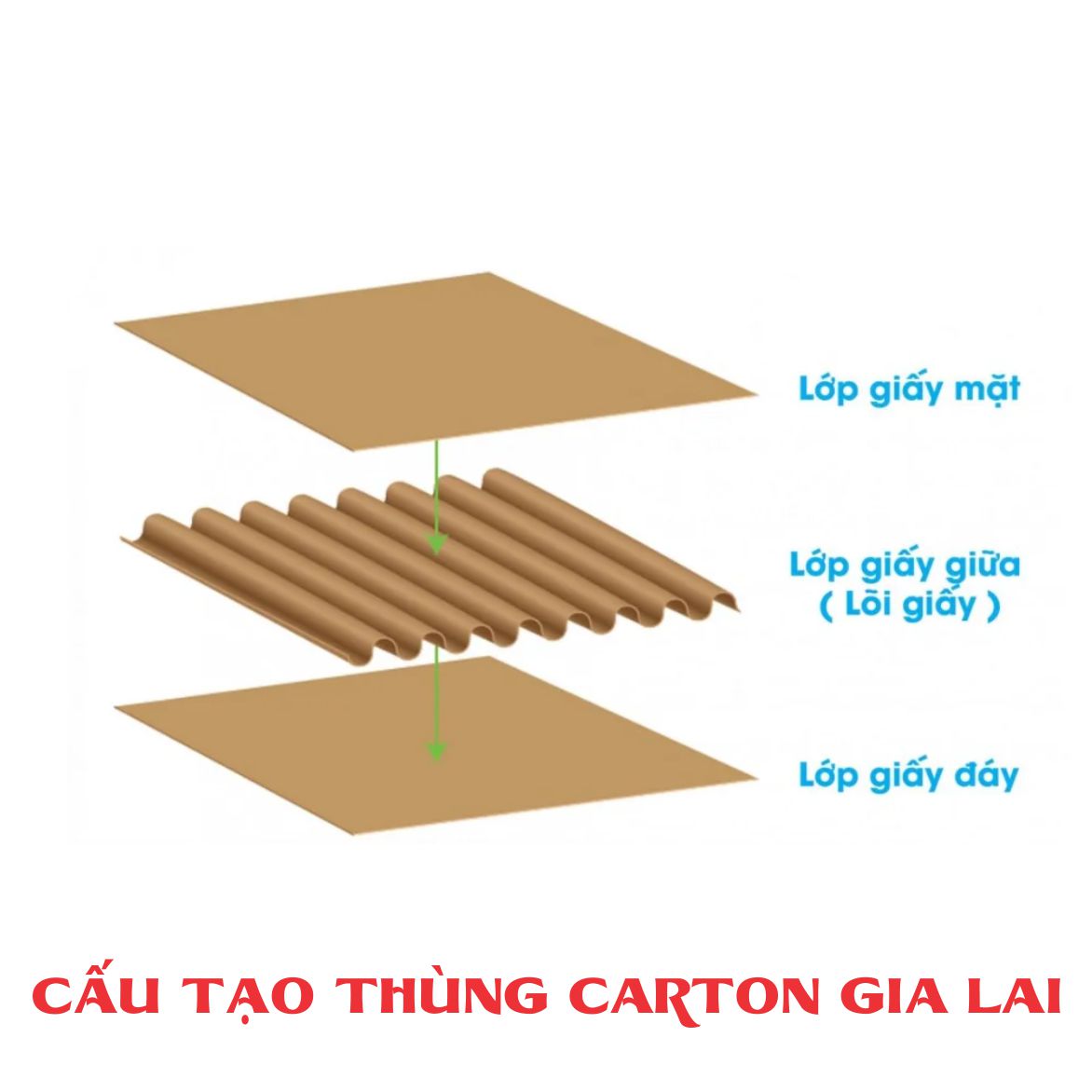 Cấu tạo thùng carton như nào