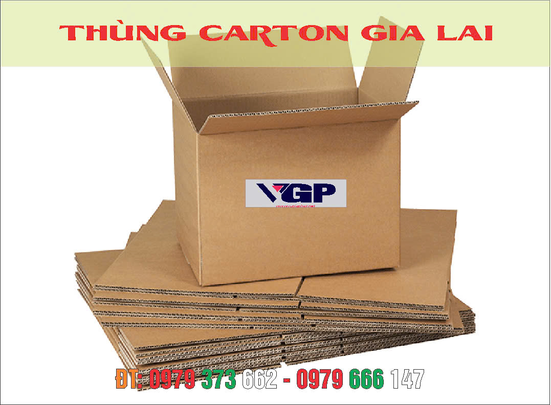 Thùng carton là gì