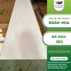 Tấm nano Ngân Hoa 303